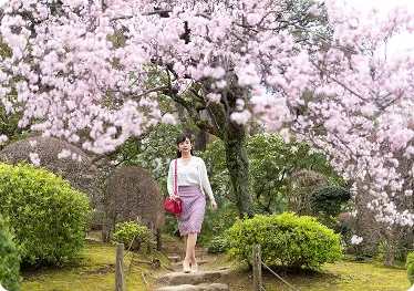 起雲閣の桜 3月下旬撮影