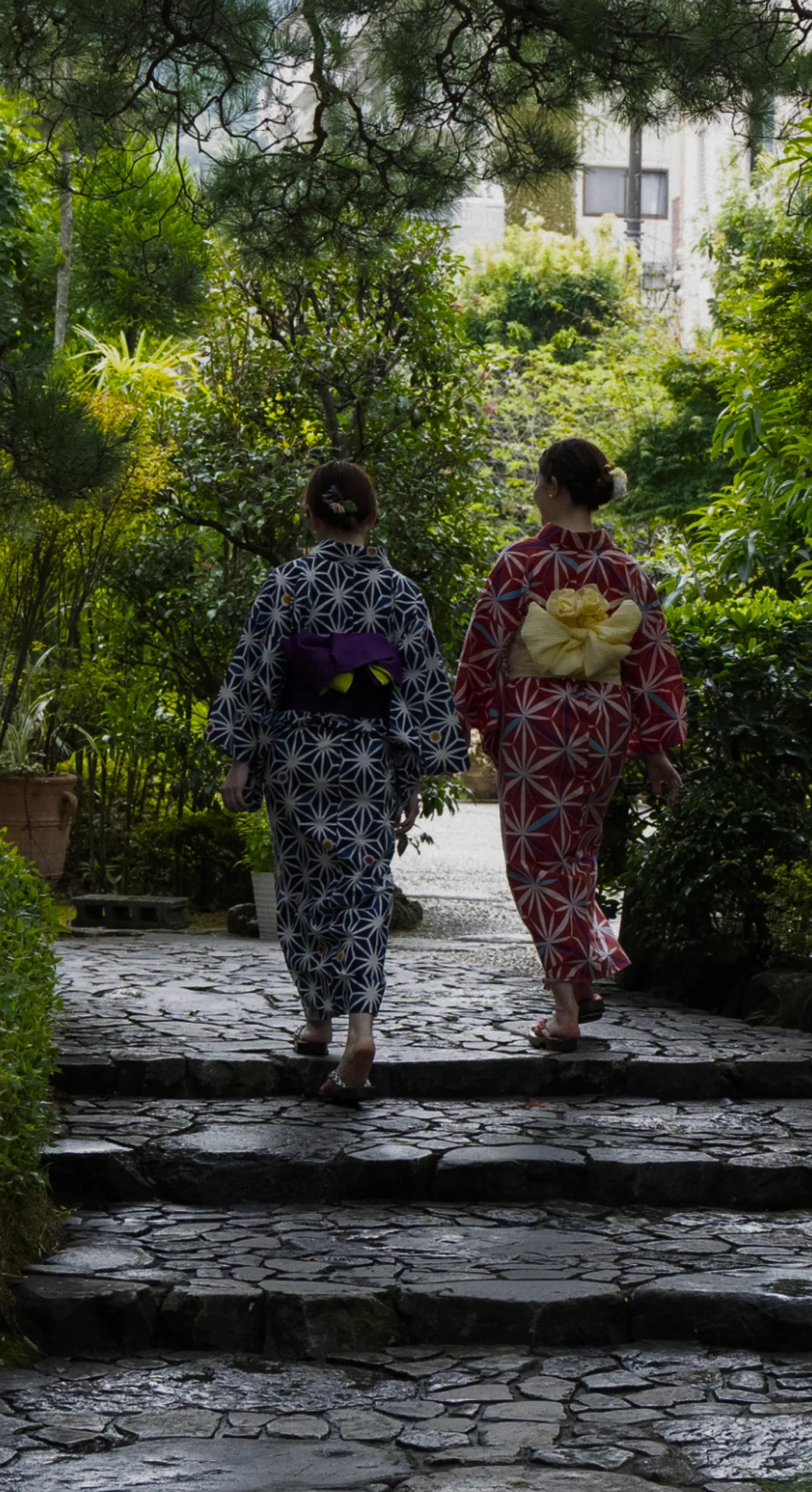 fv画像 ガイドツアー