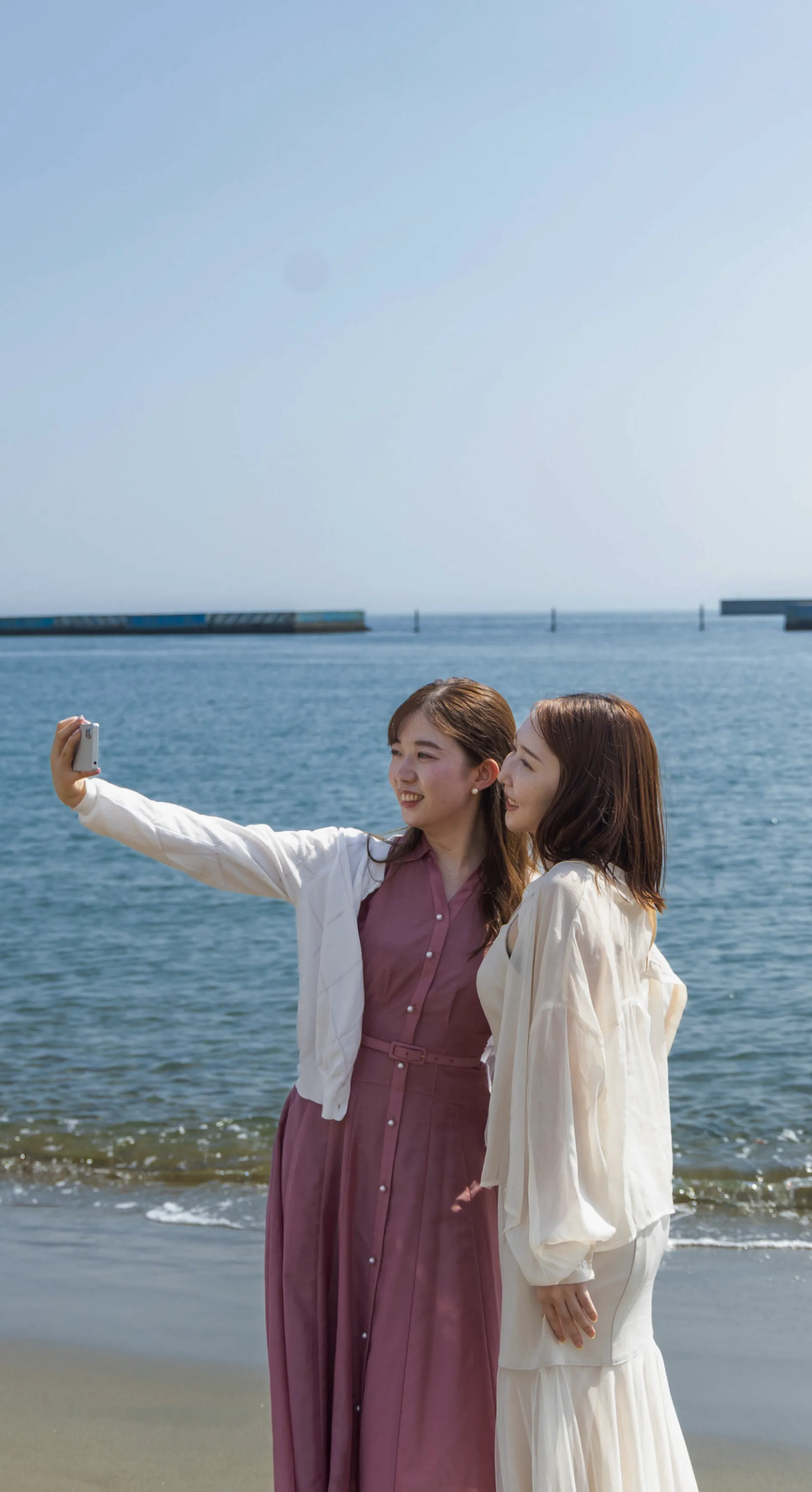 fv画像 モデルコース