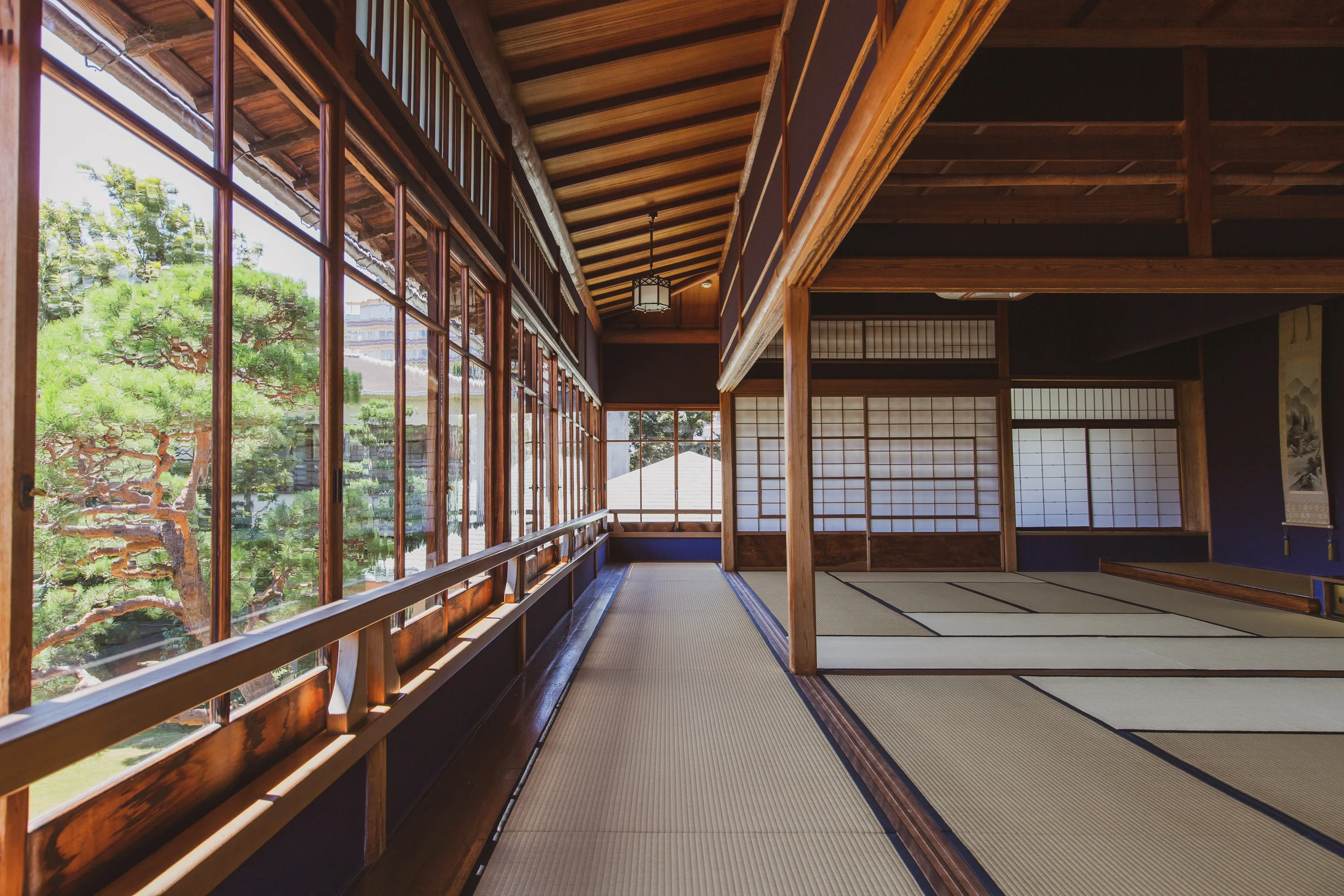 大鳳（たいほう） 画像