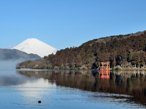 東京近郊おすすめ旅　箱根～熱海編